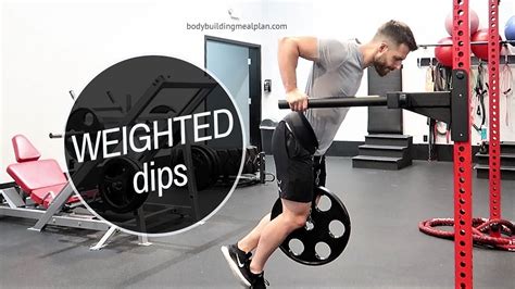 Weighted Dips With Gornation Belt - balustradellc