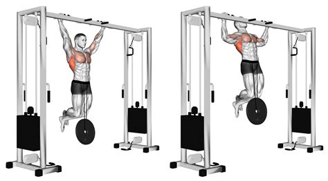 Weighted Pull-Up – SmartWorkout - balustradellc