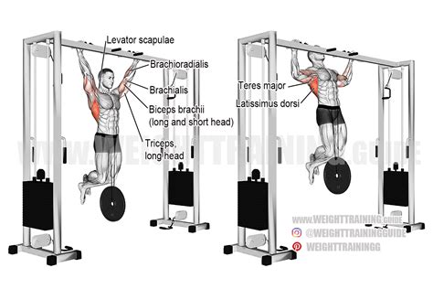 Weighted Pull-Up Guide - Video Exercise Guide & Tips - balustradellc