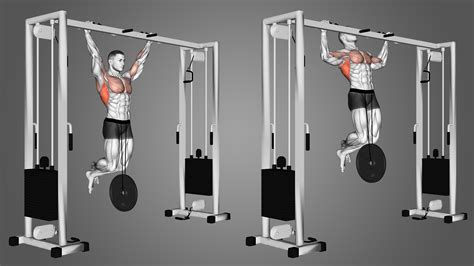 Weighted Pull-Ups Workouts - balustradellc