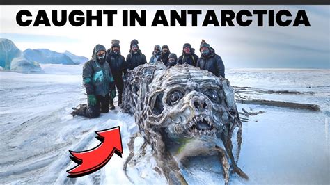 Weird Antarctica - the truth behind secret Nazi bases … - balustradellc