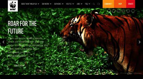 Welcome to WWF-Malaysia, environmental conservation organisation … - raincitystudios.com