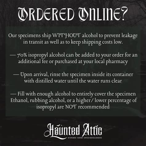 Wet Specimen Care - The Curiosity Shop - muktibox.com