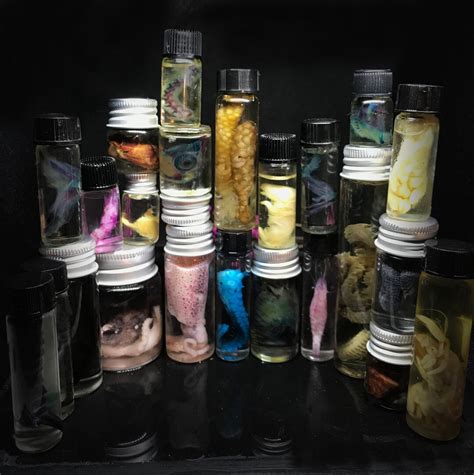 Wet Specimens - Curious Nature - muktibox.com