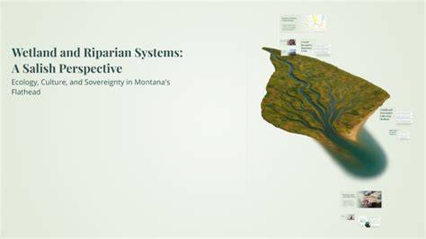 Wetland and Riparian Systems - Montana Field Guide - raincitystudios.com