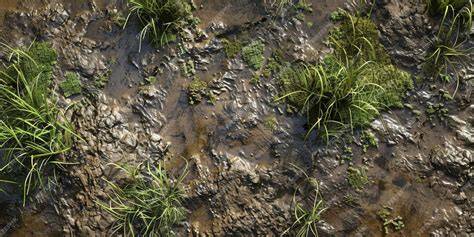 Wetland Soil - an overview | ScienceDirect Topics - raincitystudios.com