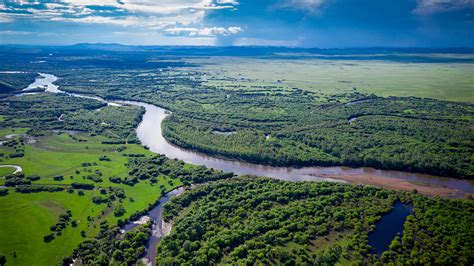 Wetland - Marshes, Swamps, Bogs | Britannica - wintechmobiles.com