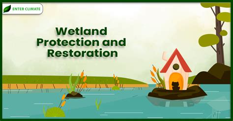 Wetlands Restoration and Protection Project - Maui … - wintechmobiles.com