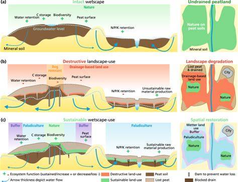 Wetscapes: Restoring and maintaining peatland … - raincitystudios.com