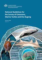 WG320_Inf_12 Guidelines cetaceans 30july30 - marine-mammals.info - raincitystudios.com