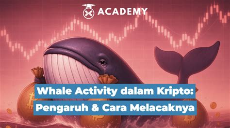 Whale Activity dalam Kripto: Pengaruh & Cara … - coolestguyplanet.net