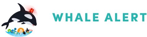 Whale Alerts - Track Large Crypto Transactions | FindWhale - coolestguyplanet.net