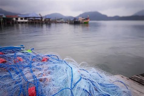 What’s the best way to make a gill net and what should I use ... - balustradellc