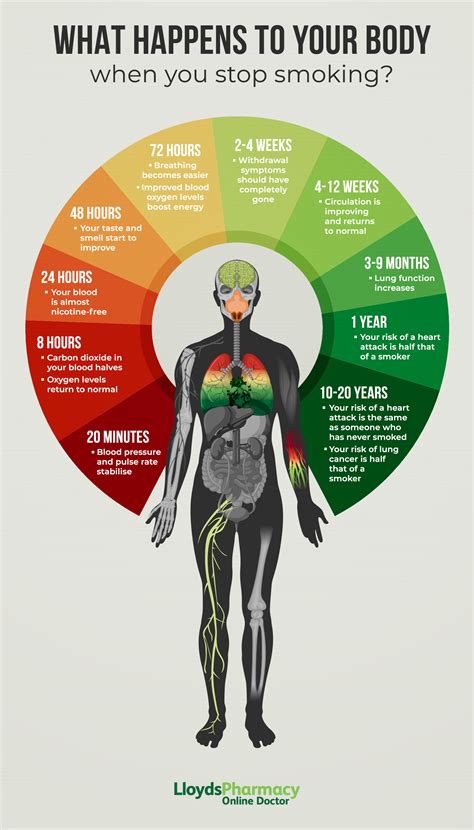 What Actually Happens Inside Your Body After 60 Days of ... - muktibox.com
