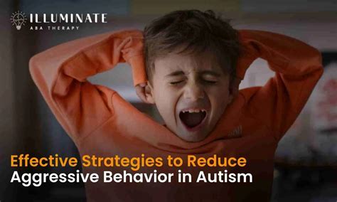 What are Autism Aggressive Behavior Strategies for … - balustradellc