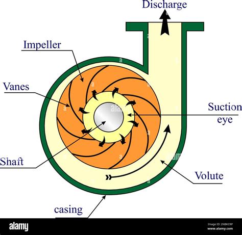 What are centrifugal & centripetal forces? | Live Science - wintechmobiles.com