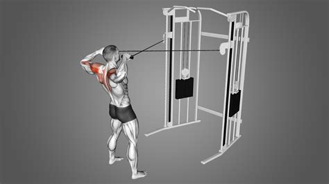 What Are Face Pulls And How To Do Them For Upper … - balustradellc