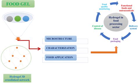 What Are Gels - Definition, Use Case and Challenges - muktibox.com