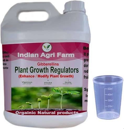 What Are Plant Growth Regulator - raincitystudios.com