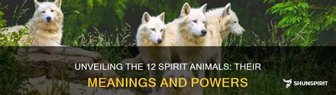 What Are the 12 Spirit Animals and Their Meanings: Discover Your ... - balustradellc