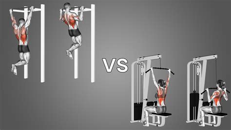 What are the effective differences of negative vs. assisted pull-ups ... - balustradellc