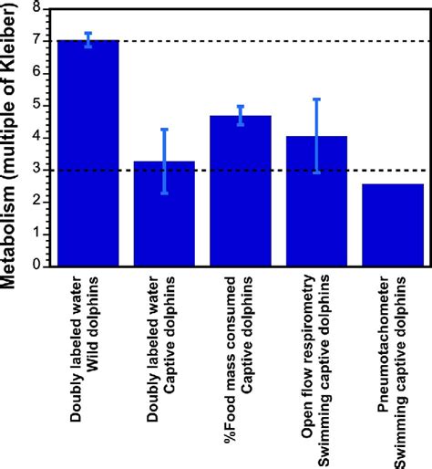 What are the Metabolic Rates of Marine Mammals and What - raincitystudios.com