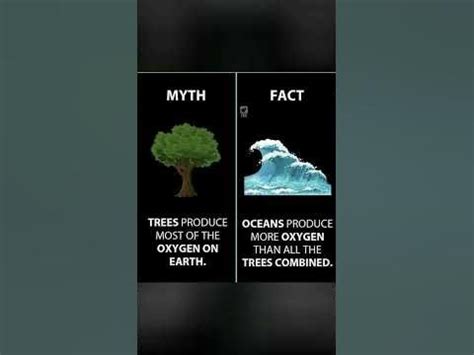 What Are the Myths and Facts About Oxygen Free … - balustradellc