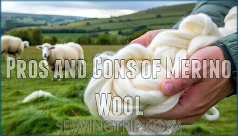 What are the pros and cons of synthetic and merino … - balustradellc