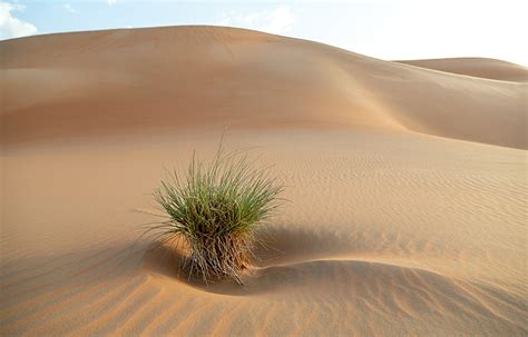 What causes sand dunes (made SIMPLE) - The geography teacher - wintechmobiles.com