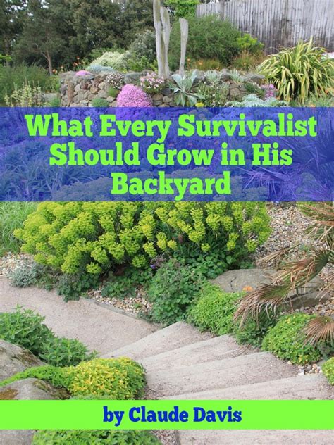 What Every Survivalist Should Grow In His Backyard - balustradellc