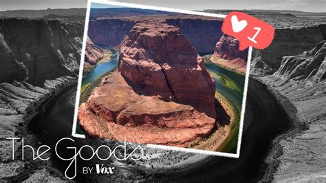 What happens when nature goes viral - ClassX - balustradellc