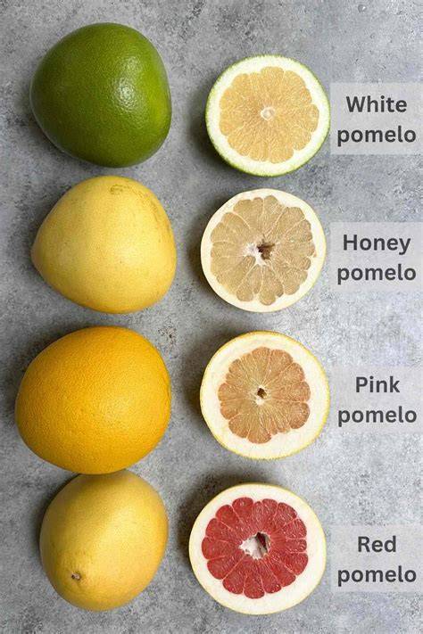 What is: Pomelo - Discover the Citrus Giant - raincitystudios.com