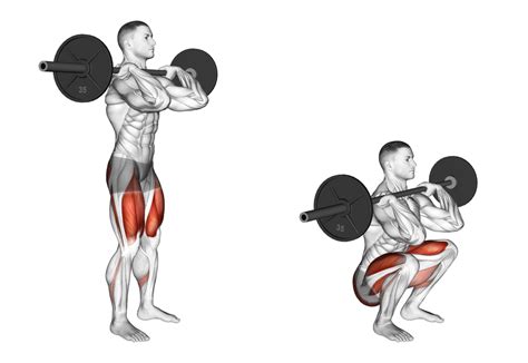 What Is A Front Squat - How to Front Squat Properly - balustradellc