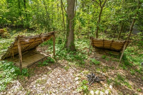 What is a Lean-To Camping and How to Build One - balustradellc