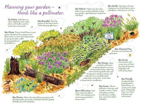 What Is A Pollinator Garden - Types Of Plants That … - raincitystudios.com