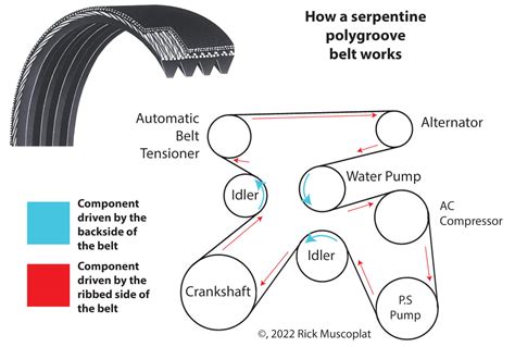 What Is a Serpentine Belt & When to Replace … - balustradellc