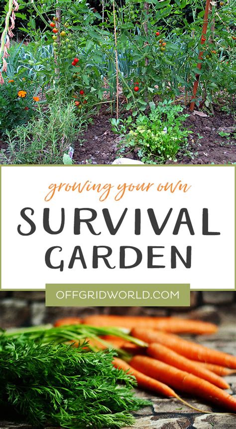 What Is A Survival Garden - Gardening Know How - balustradellc