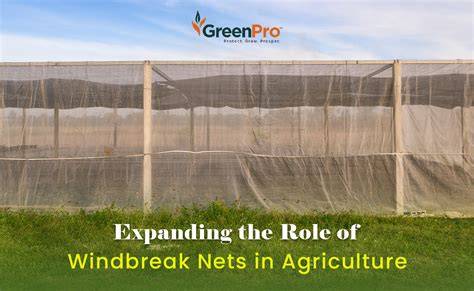 What is a Windbreak - Crawford County Conservation District - raincitystudios.com