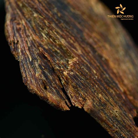 What is Agarwood - Plantations International - balustradellc