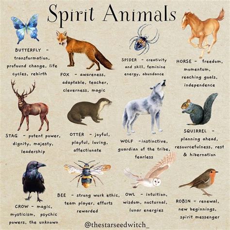 What Is An Animal Spirit Guide And How It Can Transform Your Life - balustradellc