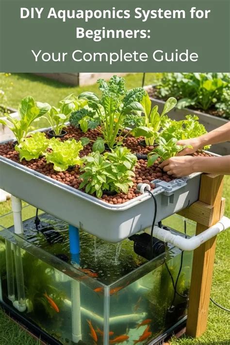 What Is Aquaponics: The Complete Guide To … - balustradellc