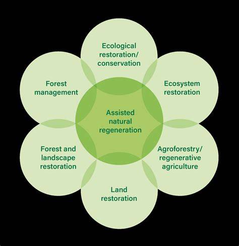 What is Assisted Natural Regeneration & How Does it Work? | World ... - raincitystudios.com