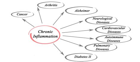 What is Chronic Inflammation (and How to Treat It) - balustradellc