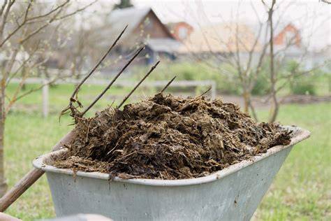 What Is Composted Manure and How To Amend Soil … - raincitystudios.com