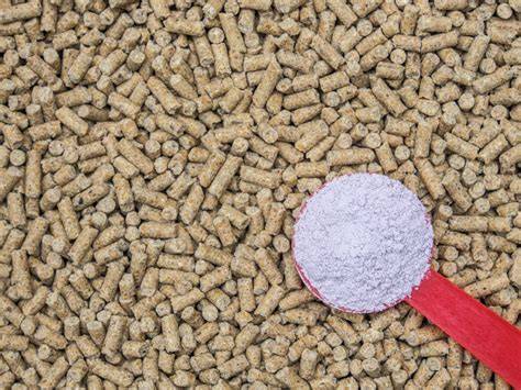 What is Concentrate Feed & How to Mix? - Livestocking - raincitystudios.com