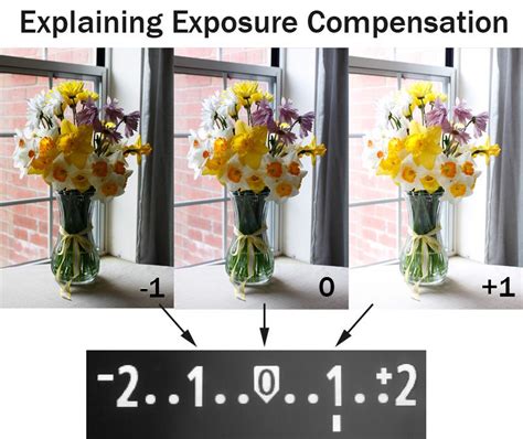 What is Exposure Compensation: When and How to Use It - balustradellc