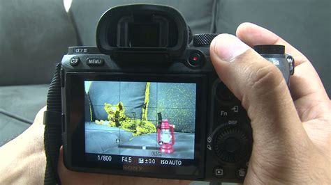 What is Focus Peaking and How to Use It - Ucanproduction - - balustradellc