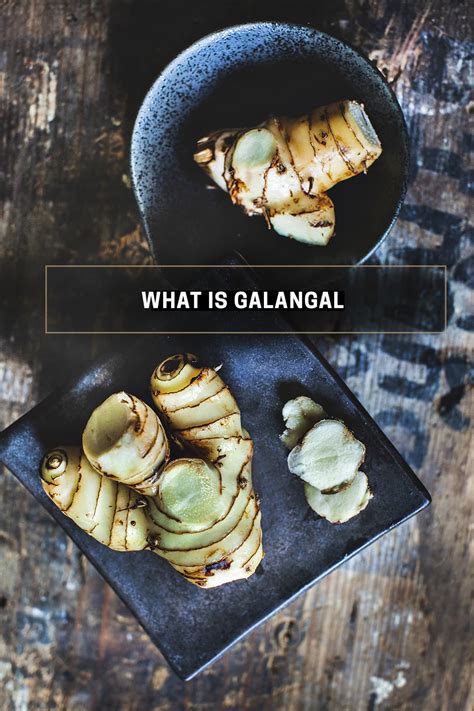 What is Galangal and How to Use it for Cooking - Hot … - balustradellc