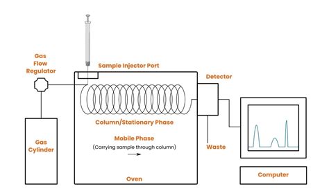 What is gas chromatography and how is it used in the perfume industry ... - wintechmobiles.com