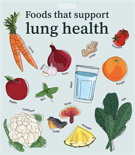 What Is Good for Lungs Naturally: Foods and Herbs - balustradellc